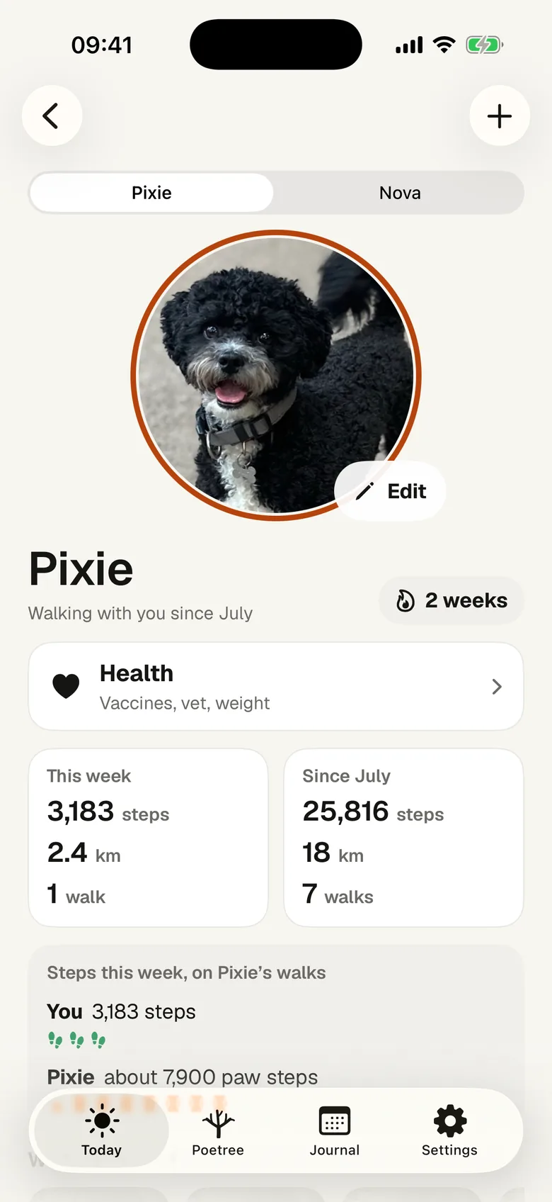 Pixie's page: walking with you since July, a 2-week streak, 3,183 steps this week and 25,816 since July