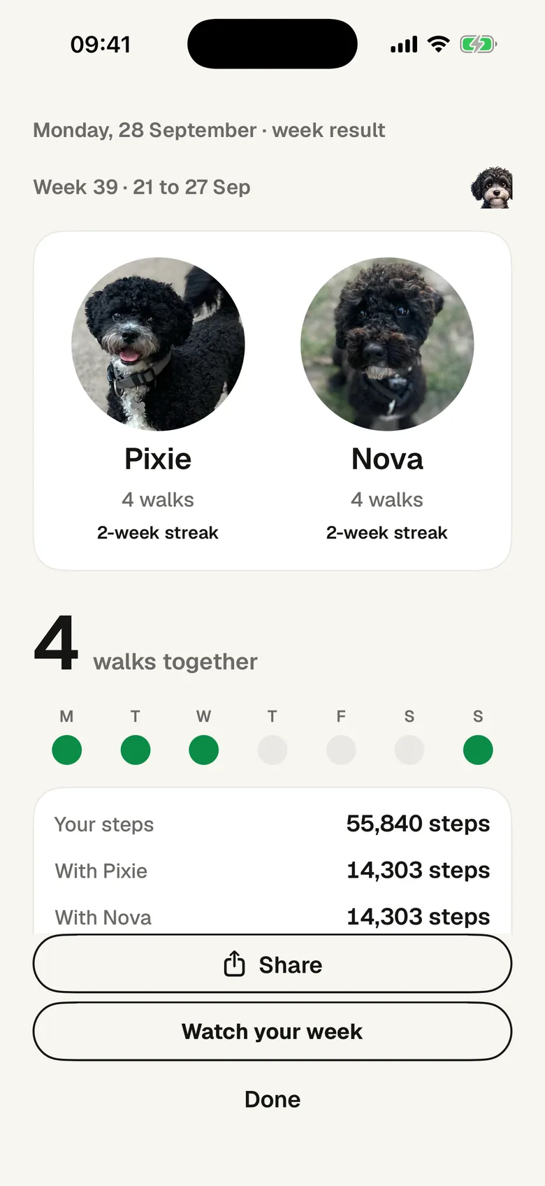 The week recap for week 39: Pixie and Nova, 4 walks together, 55,840 steps