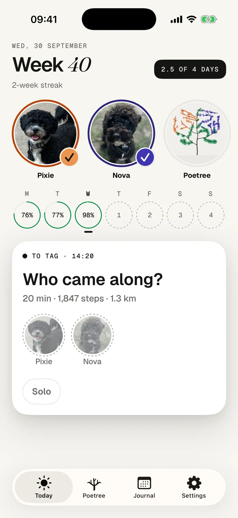 Today: a new walk at 14:20 asks who came along, with Pixie and Nova to tap